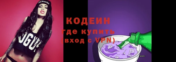 МДПВ Бородино