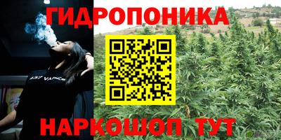 гашишное масло Моздок