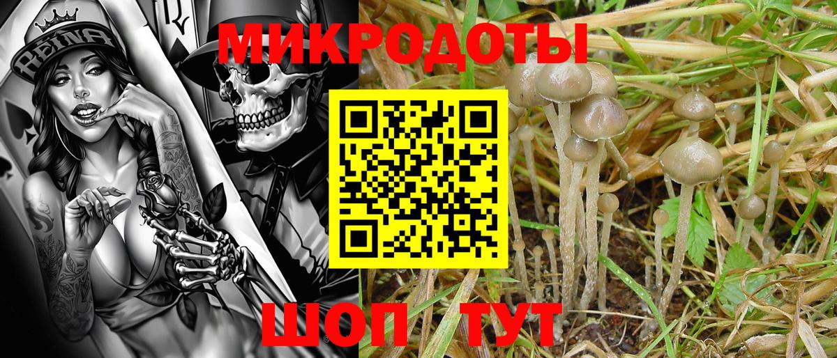 Галлюциногенные грибы GOLDEN TEACHER  Вход с VPN  Серпухов 