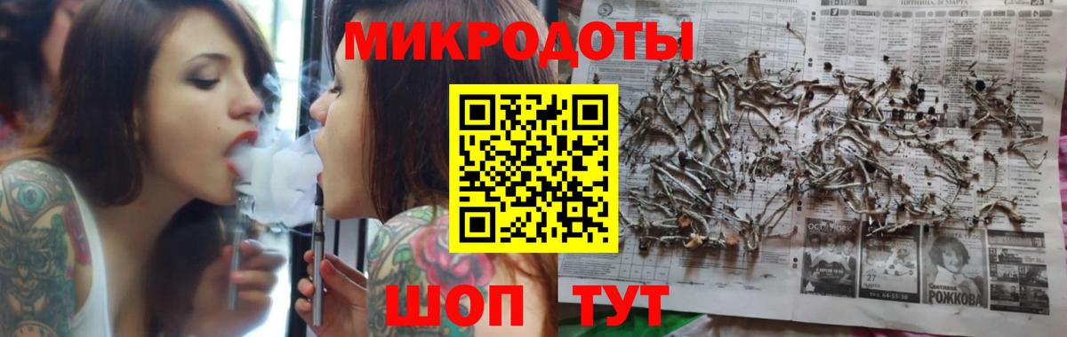 Псилоцибиновые грибы Cubensis Серпухов